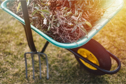 A wheelbarrow full of leaves, twigs and bracken