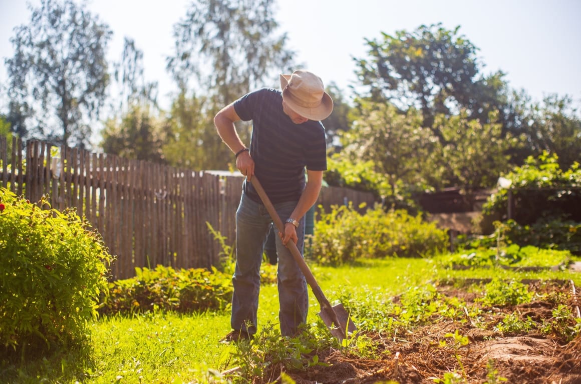 A man uses gardening as physical exercise.