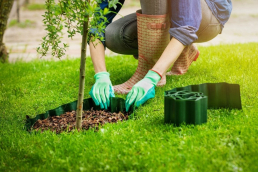 Edging plant beds and borders