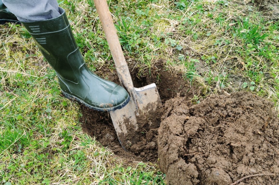 Person digging a whole to plant a tree