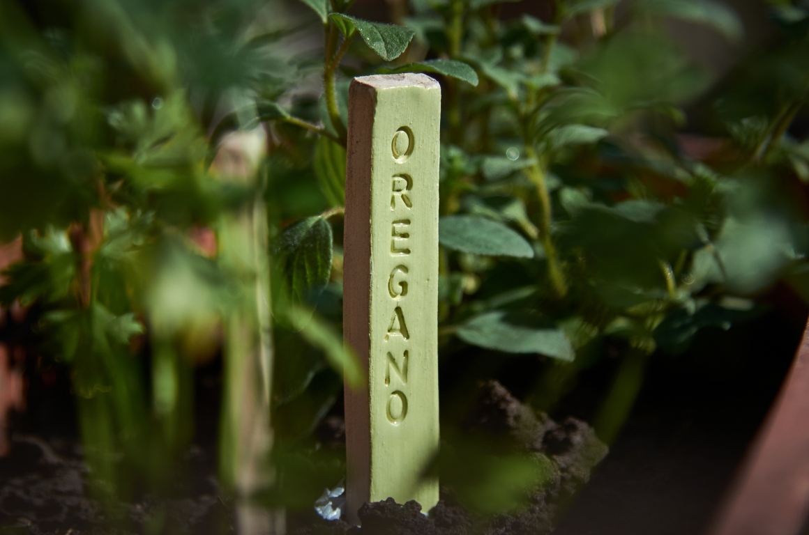 A plant marker reading the word 'oregano'