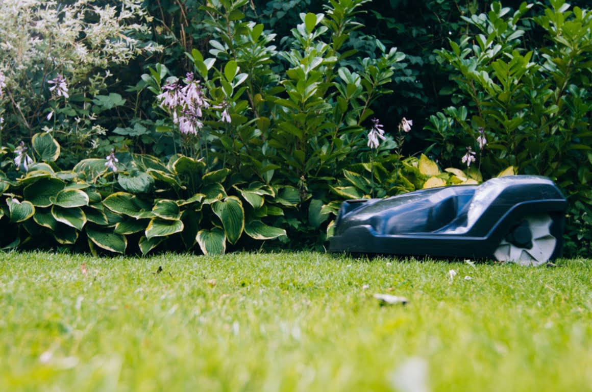 A robot lawnmower on a lawn.