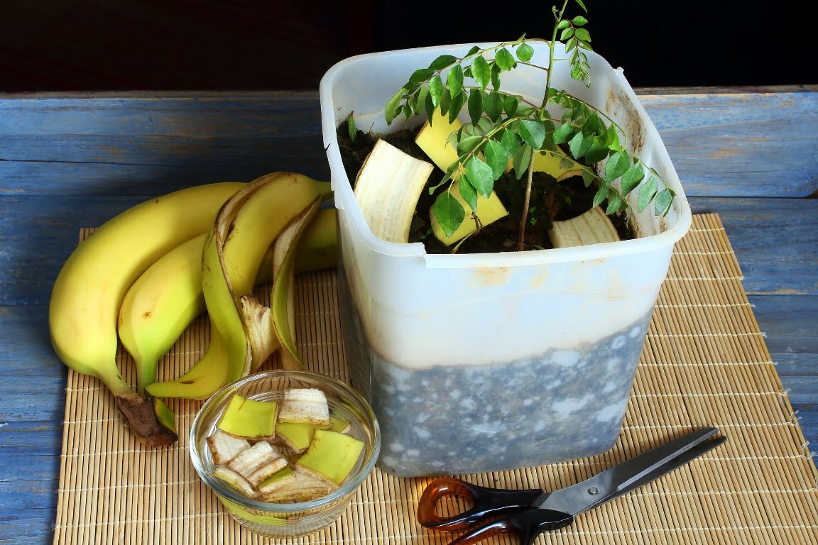 a plastic tub with food waste collected for compost