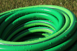 A green garden hose coiled on a garden