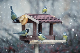 A birdhouse with birds flying about it against a wintery snow-swept scene